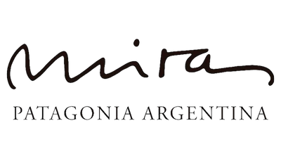 logos uva (4)